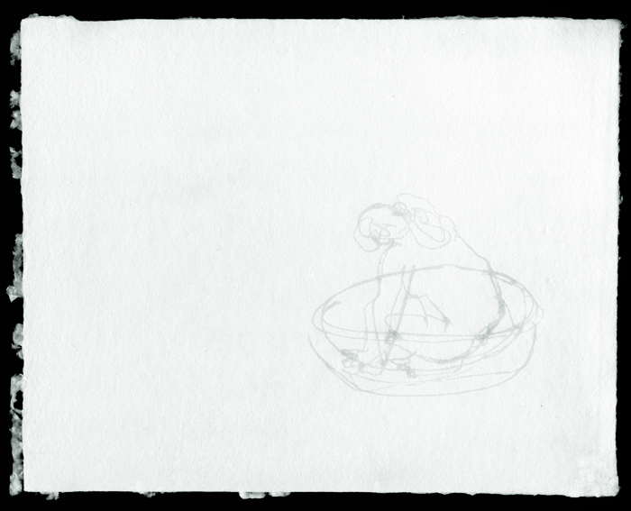 Click the image for a view of: Sheets of Evidence # 3